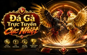 teampapotanic đá gà picture 1